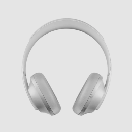 Silver headphones